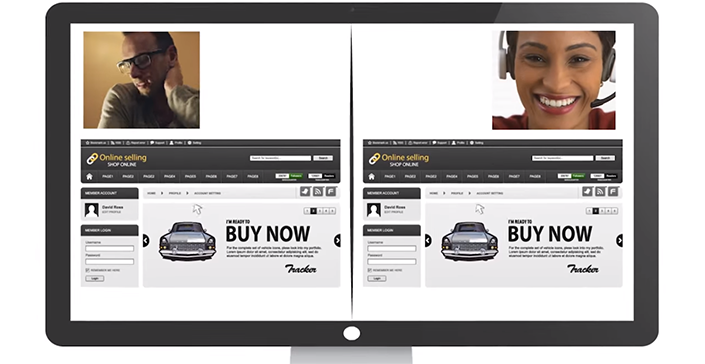 Will cars be purchased online in the future